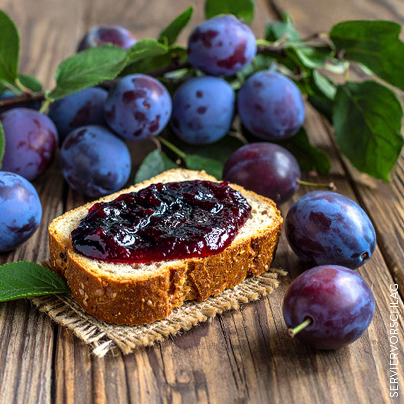 Stöcker-Quetschekräutche (Zwetschgenmus)
