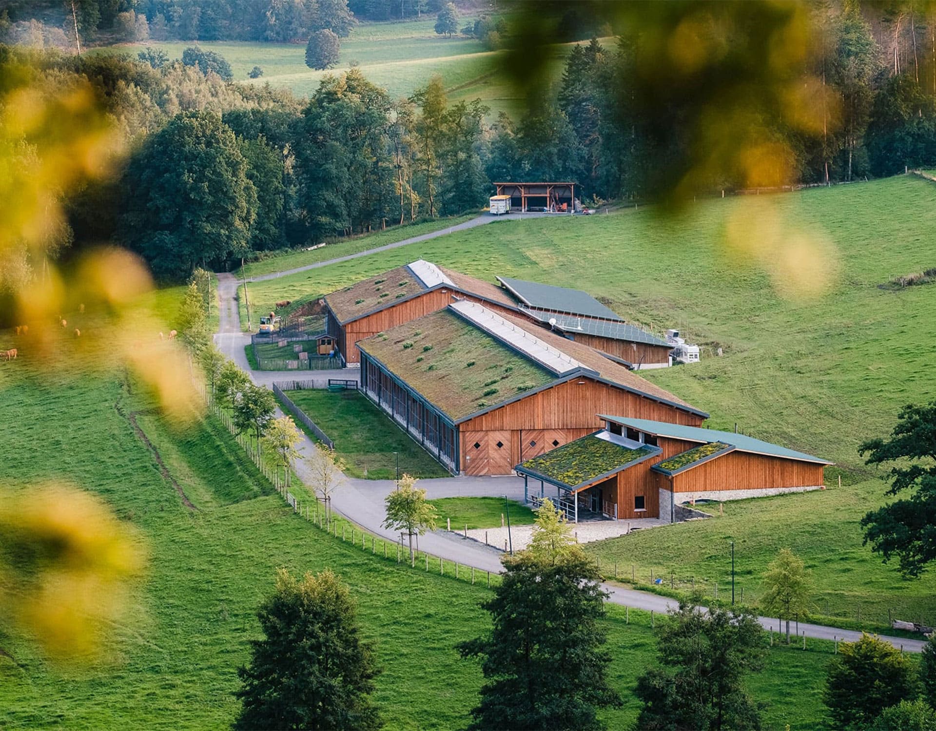 Bio-Rinderhof | HOFGUT STÖCKEN