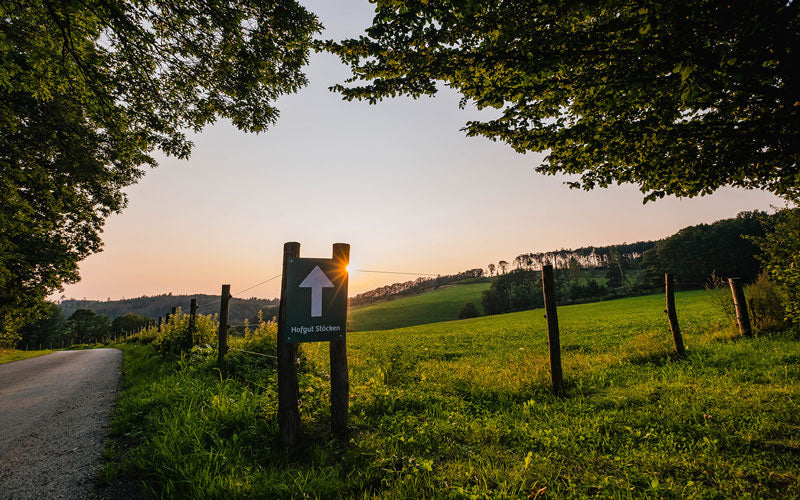 Bio-Rinderhof | HOFGUT STÖCKEN