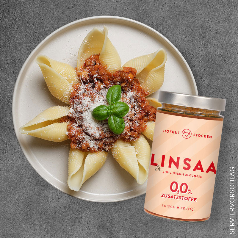 Bio Fertiggericht LINSAA