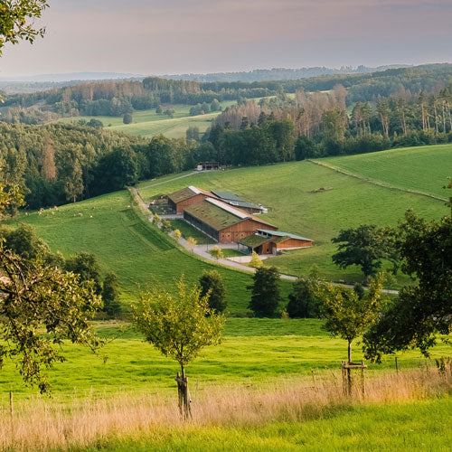 Hof von Oben