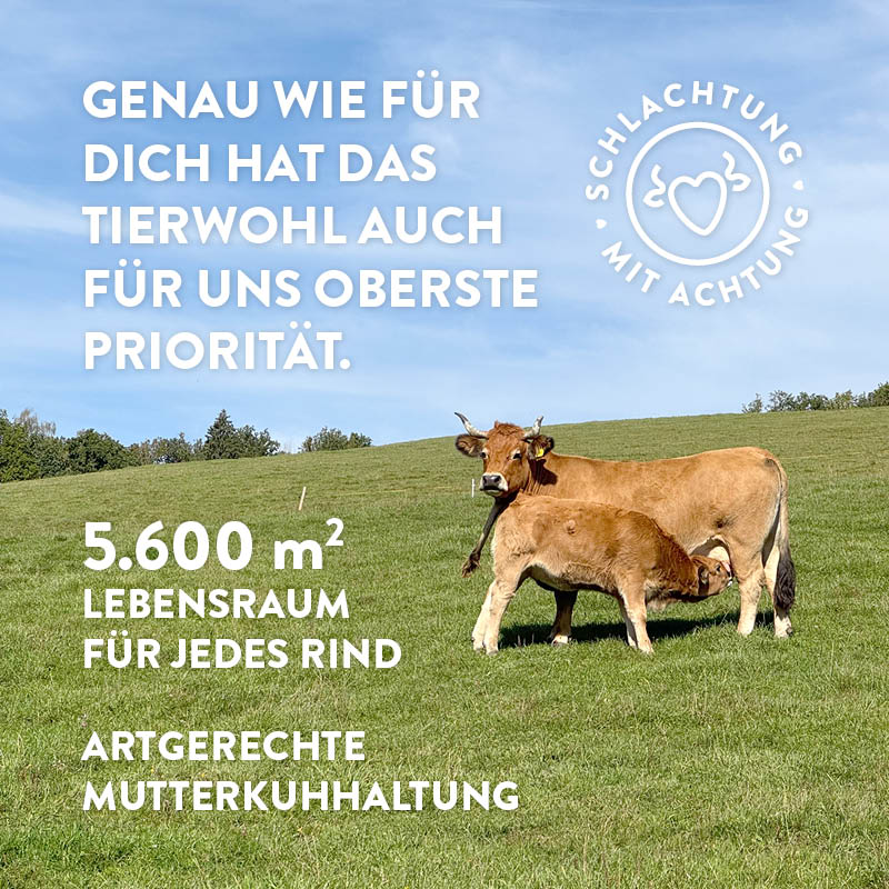 Probierpaket GLUTENFREI